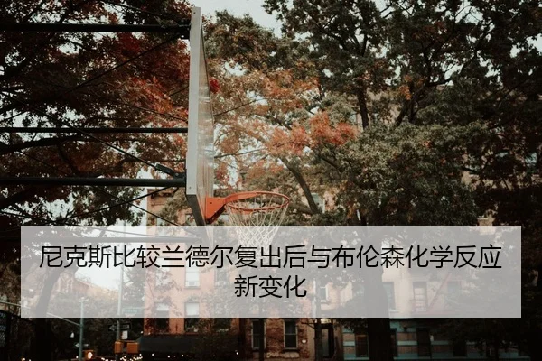 尼克斯比较兰德尔复出后与布伦森化学反应新变化