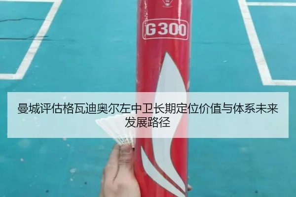 曼城评估格瓦迪奥尔左中卫长期定位价值与体系未来发展路径 | cc7c7.app